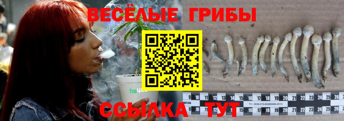 Галлюциногенные грибы GOLDEN TEACHER Нерюнгри