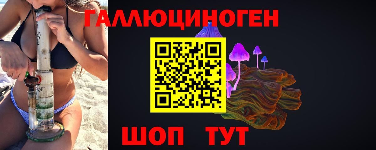 Псилоцибиновые грибы Psilocybine cubensis  наркота  Нерюнгри  Вход с VPN 